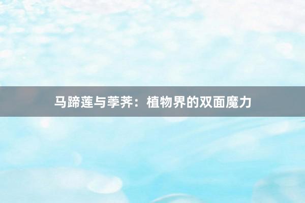 马蹄莲与荸荠:植物界的双面魔力
