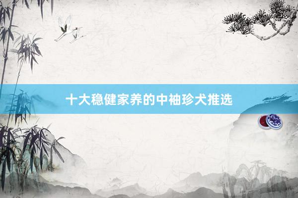 十大稳健家养的中袖珍犬推选