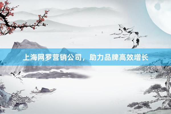 上海网罗营销公司，助力品牌高效增长