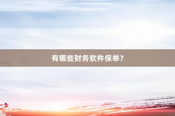 有哪些财务软件保举？